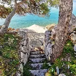 Alaga Daire
